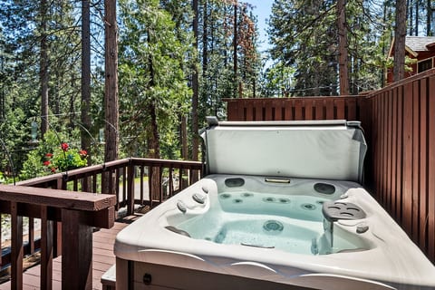 3/3 BLS Cabin with Hot Tub and EV Charger
