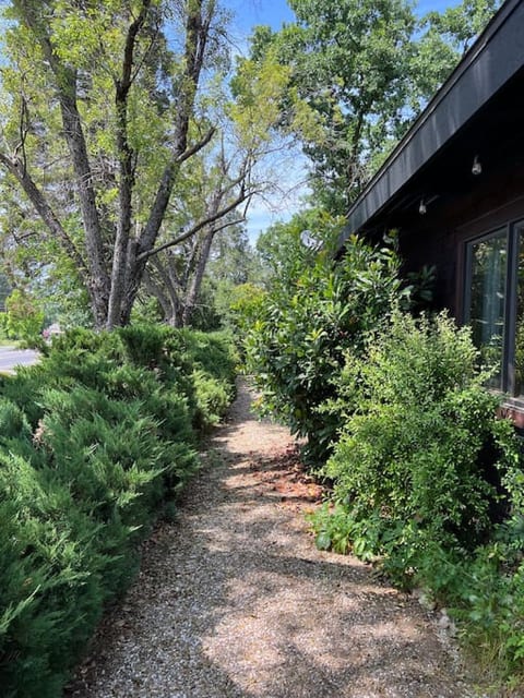 Le Bon Chien- Walkable to Downtown Murphys