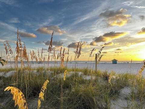 Catch sunsets like this just a 2 min walk from your front door.