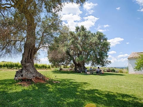 Ferienvilla mit Garten, Grill und Terrasse