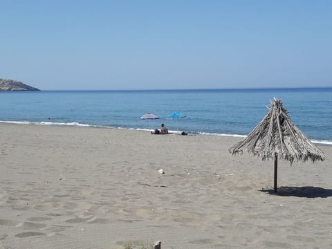 Orelia Cretan