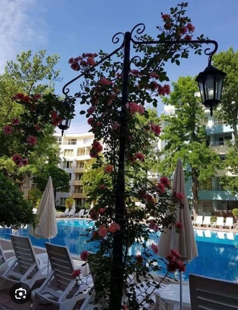 Vacation apartments in Sunny beach