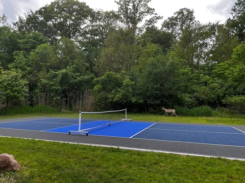 The onsite pickleball court has a Sport Court surface and is shared with the guests in the Cabin. Deer frequently pass by the court.