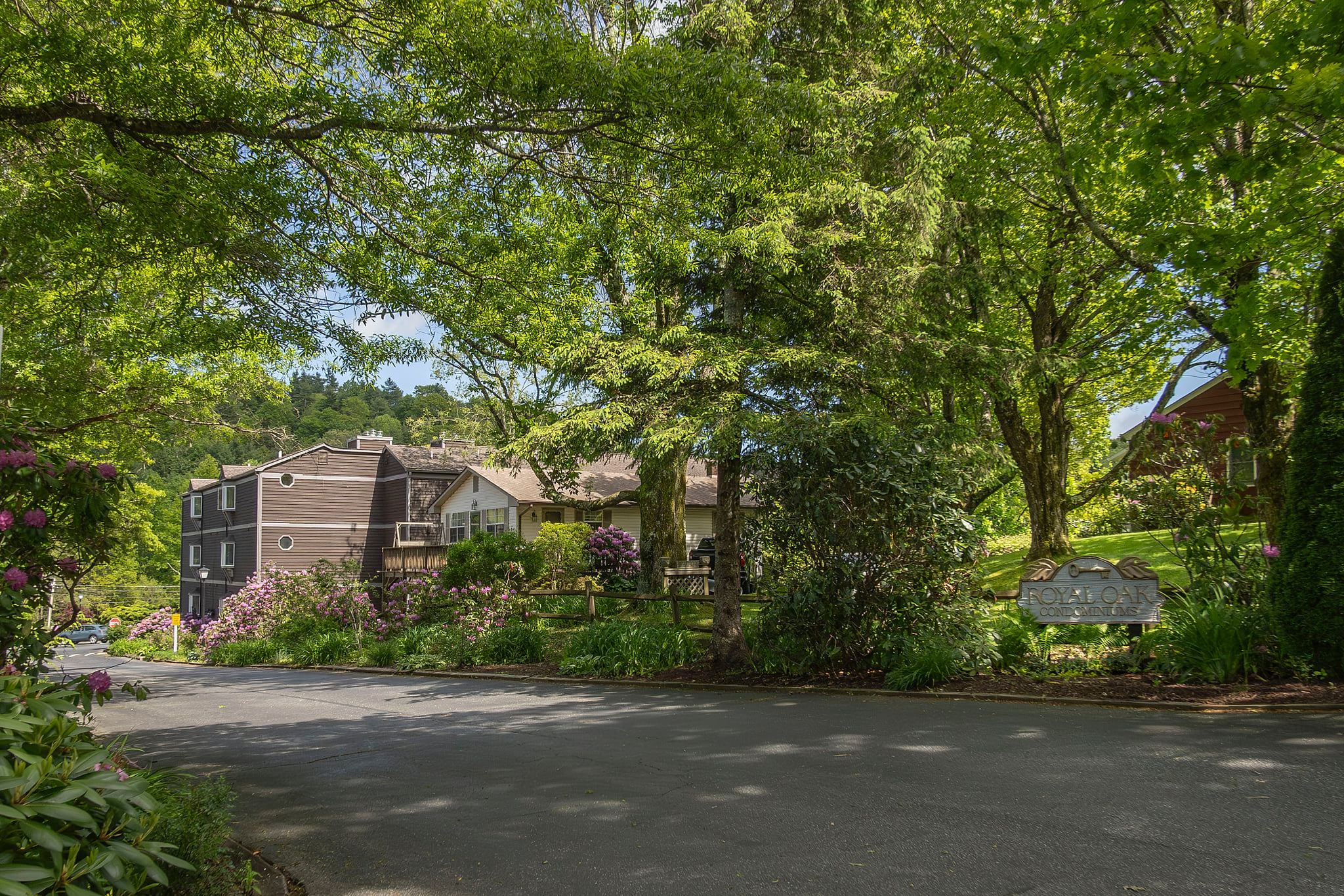 Cozy 1st Floor, Walk to Main, Fireplace, King Beds