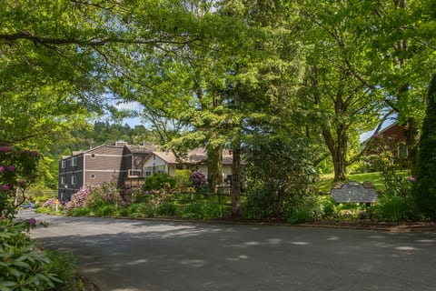 Cozy 1st Floor, Walk to Main, Fireplace, King Beds