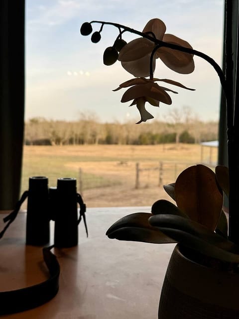 Lux Country Escape w/Pool|Min to Dowtown Brenham