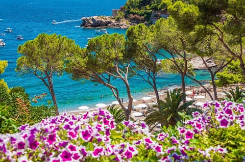 Amazing apartments in Isola Bella Nature Reserve image 5