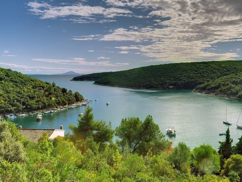 Mala Villa