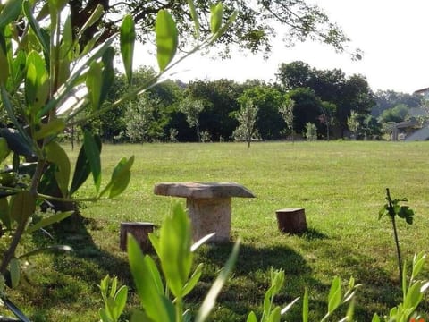 Casa Novi