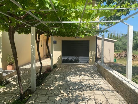Dragica