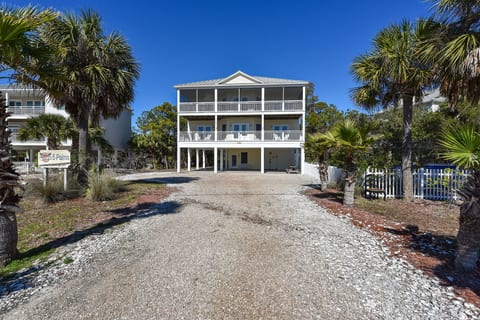 5 Palms