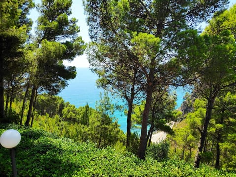 View