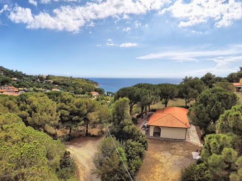 Aerial photography