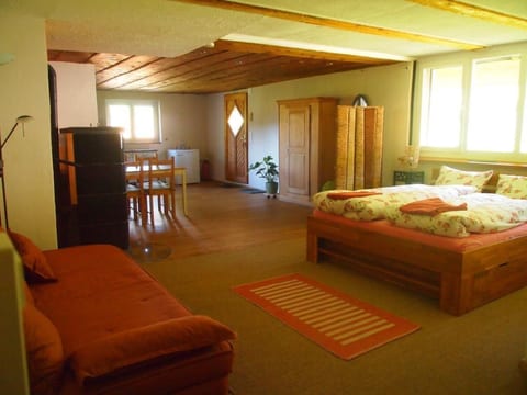 Hübsche 2-Zimmer-Wohnung in umgebauten Bauernhau