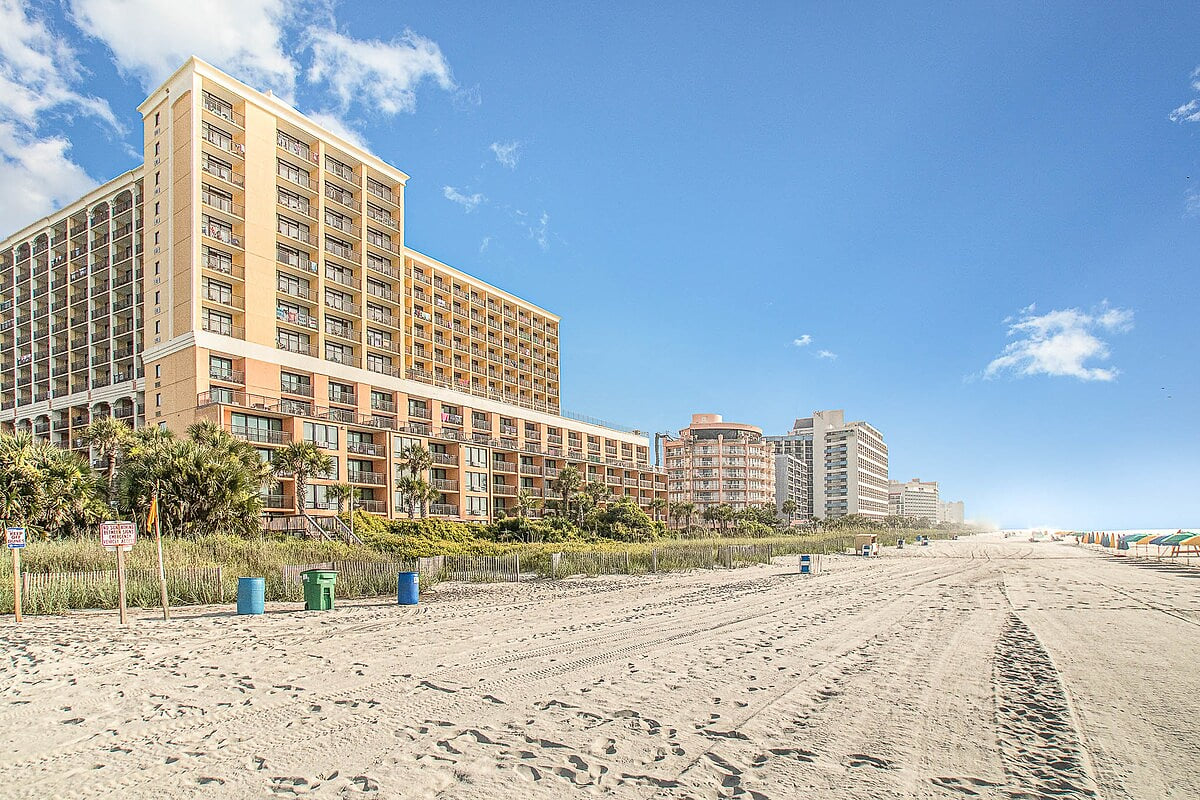 Who is ready for a walk on the beach?