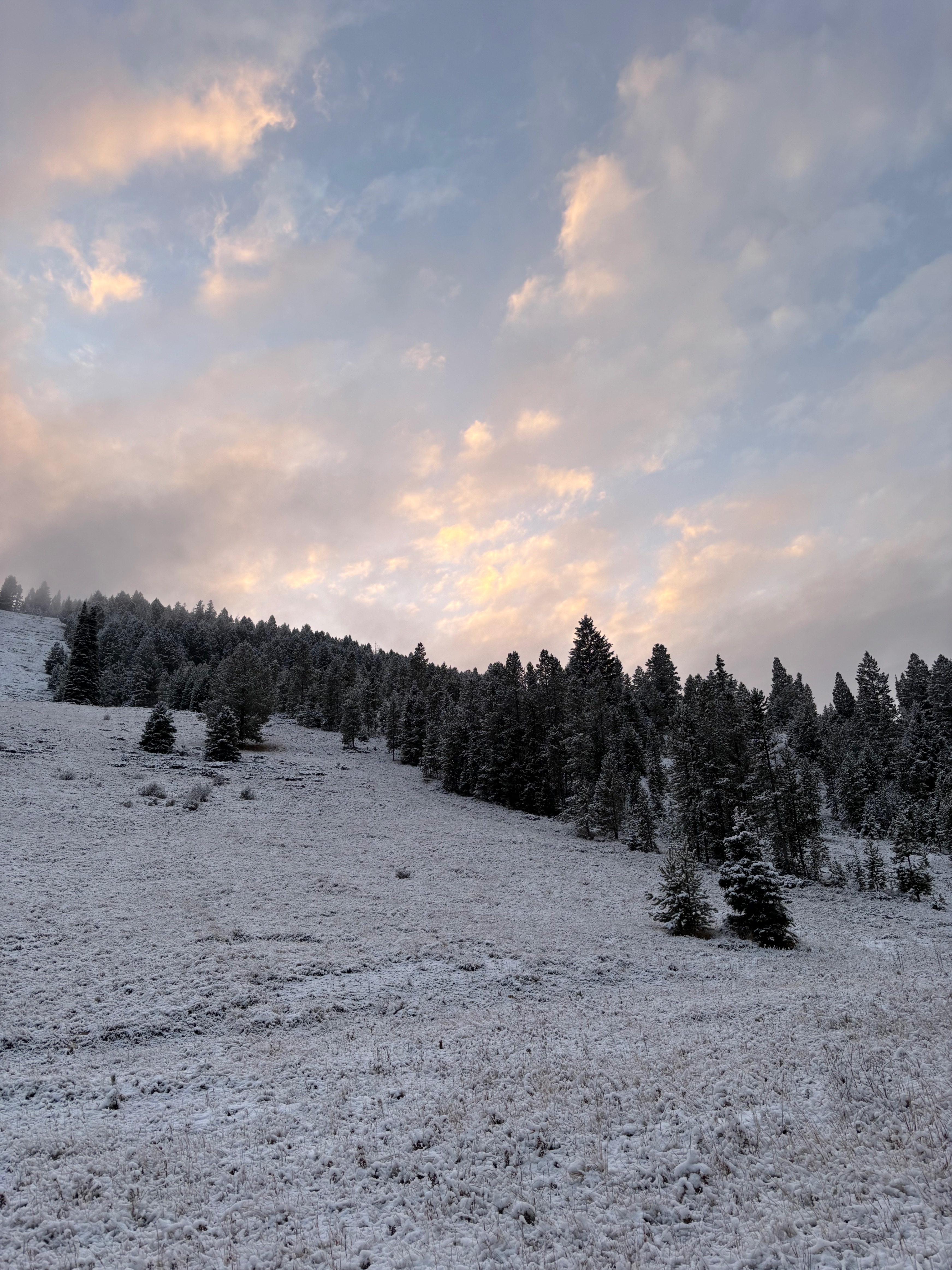 Ski slopes of Wraith Hill