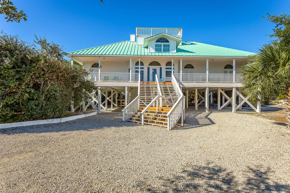 Beach Thyme - Eastpoint