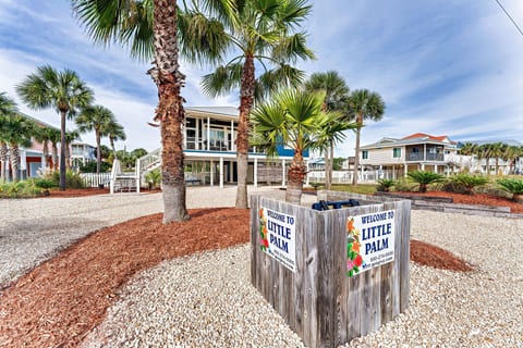 Little Palm