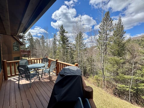 Villa 625 at Lutsen Mountain