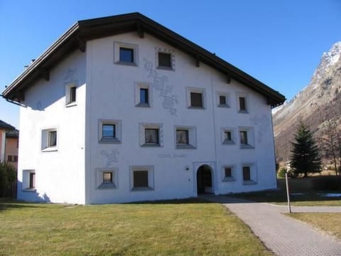 Selvas 12