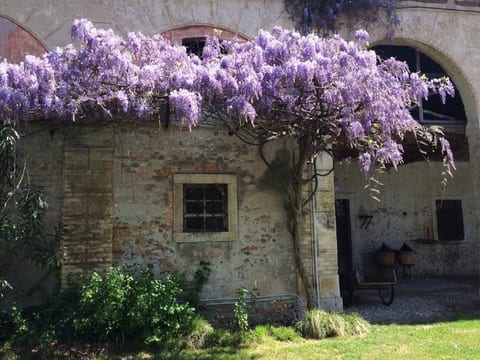 Bellissimo Villa Adelaide