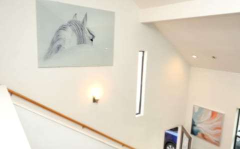 Urban Retreat | Boutique stay at Houston hot spots image 40