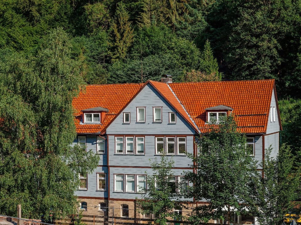 Gemütliche Ferienwohnung in Lerbach - Osterwieck
