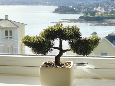 Wohnung mit Meerblick in Torquay