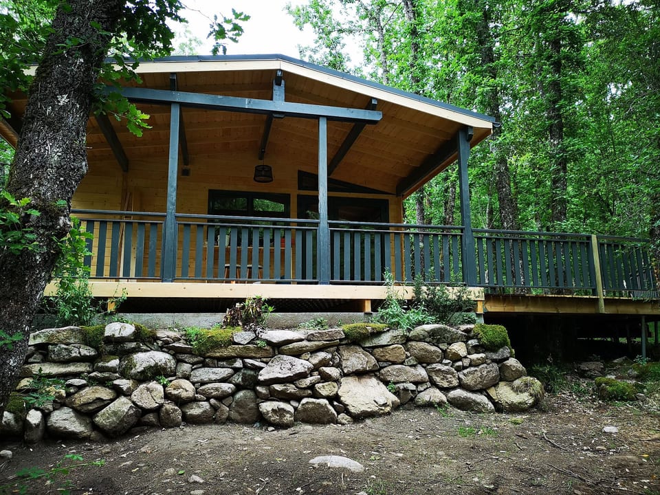 Wohnung in Vivario mit Grill, Terrasse und Garten - Vivario