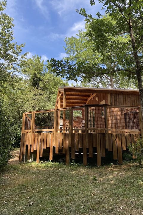 Wohnung in Vivario mit Terrasse, Grill und Garten