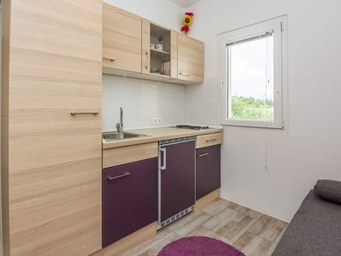 Apartment Ivanusevic 2
