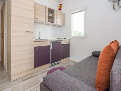 Apartment Ivanusevic 2
