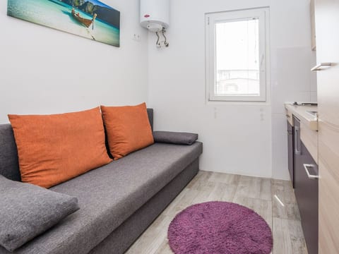 Apartment Ivanusevic 1