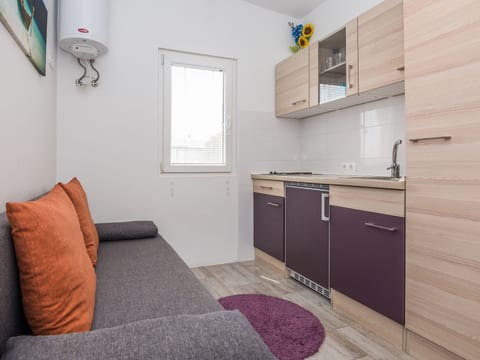Apartment Ivanusevic 1