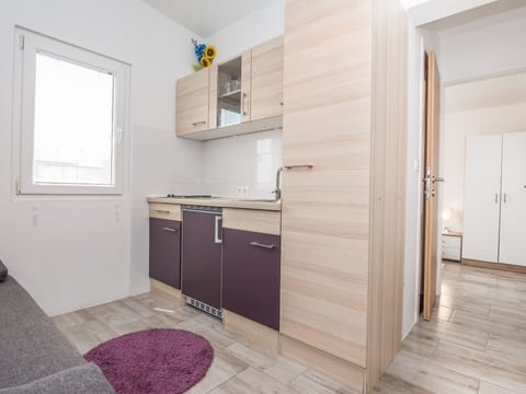 Apartment Ivanusevic 1