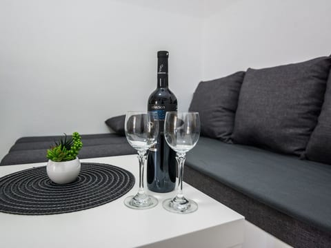 Apartment Skundric 3