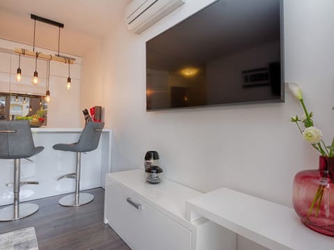 Apartment Basic Vesna 3
