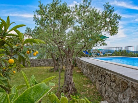 Villa "Olive Tree" mit Schwimmbad