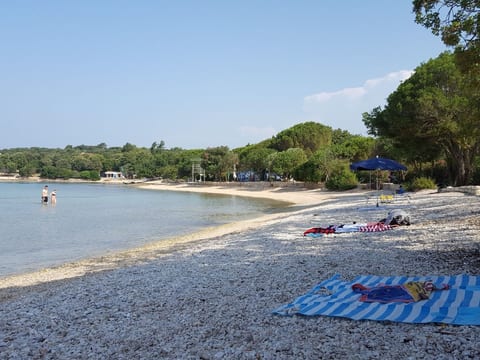 Vrancić3