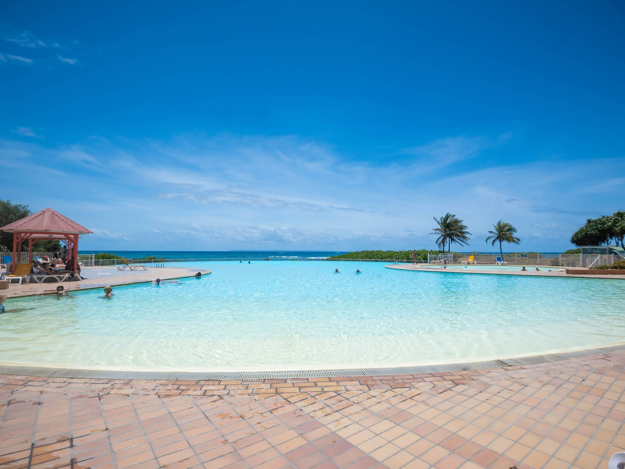 Der Tropische Flamboyant