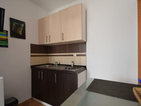 Studio apartment Mikec 1