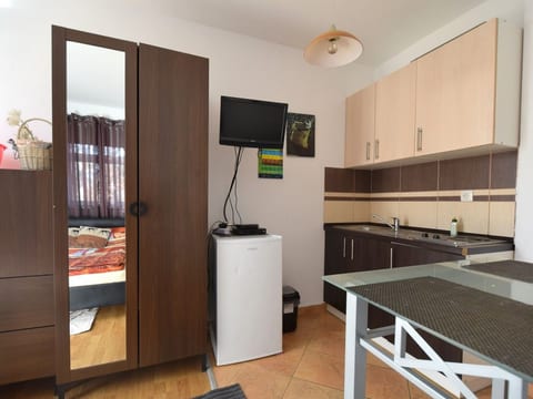 Studio apartment Mikec 1