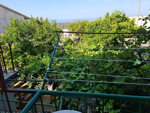 Wohnung Vinea A2