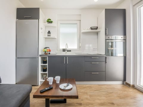 Apartment Pejakovic 4