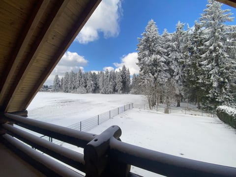 am Rennsteig