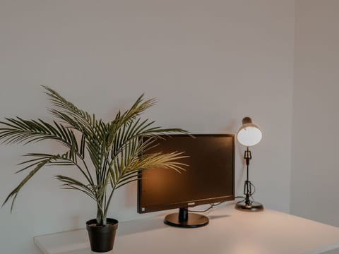 Apartment mit Küche, Arbeitsplatz und xxl Sofa