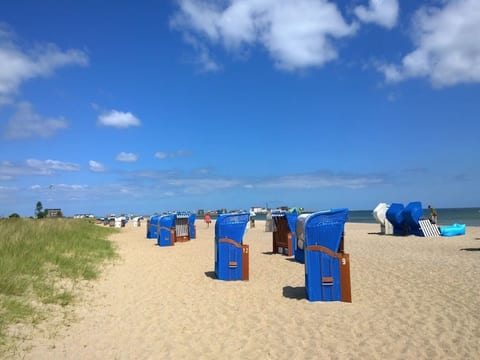 Maltes-Ostseekoje