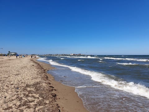 Maltes-Ostseekoje