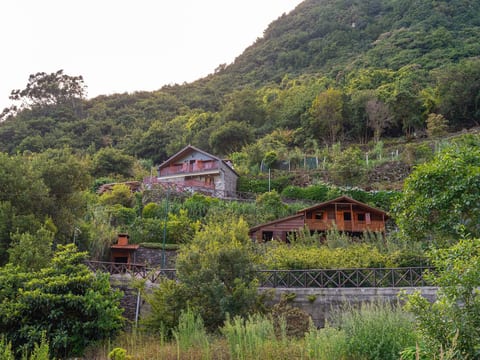 Holzhaus - Villa Fontes5