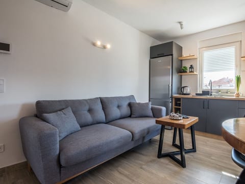 Apartment Pejakovic 2
